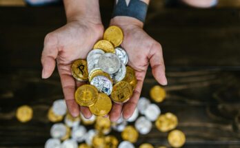 How to Choose the Right Coin to Invest In: A Comprehensive Guide